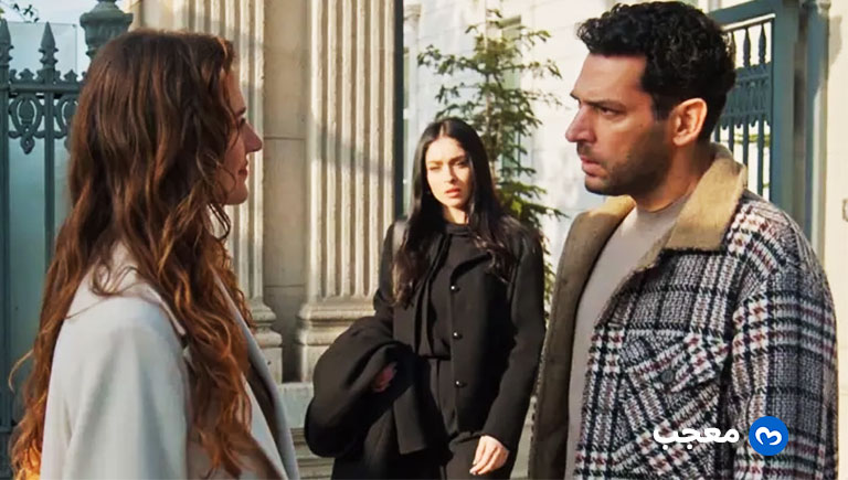 نسب مشاهدات ورود وذبوب في الصدارة